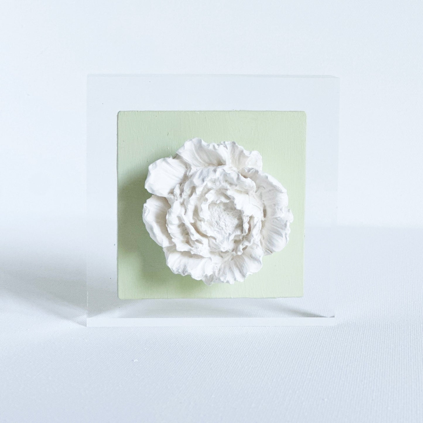Sage Peony Acrylic Block 4x4