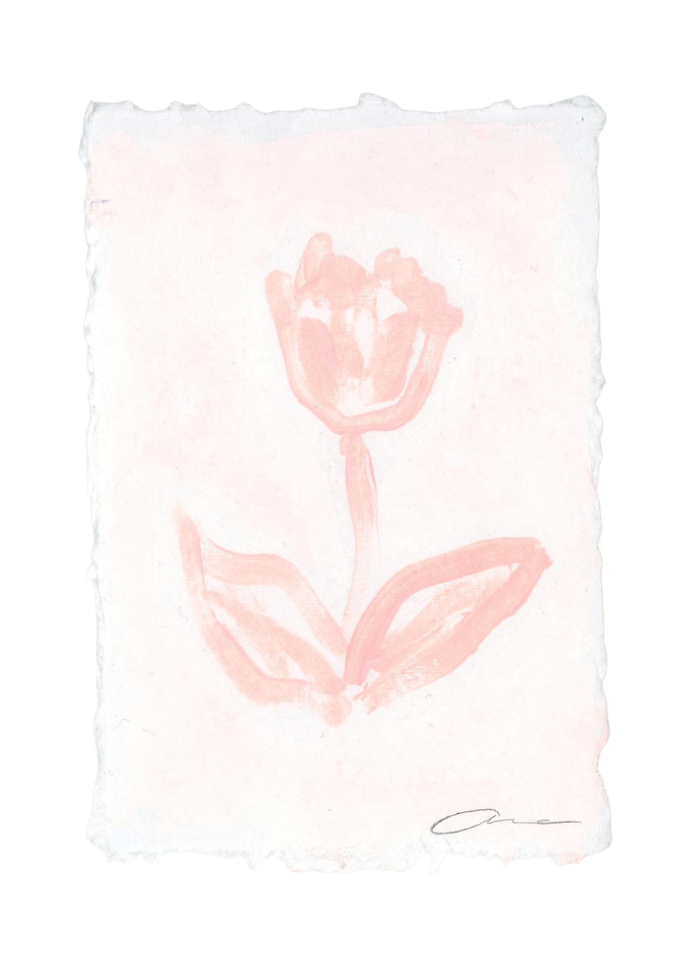 Pink Tulip Deckled Edge Print 4x6