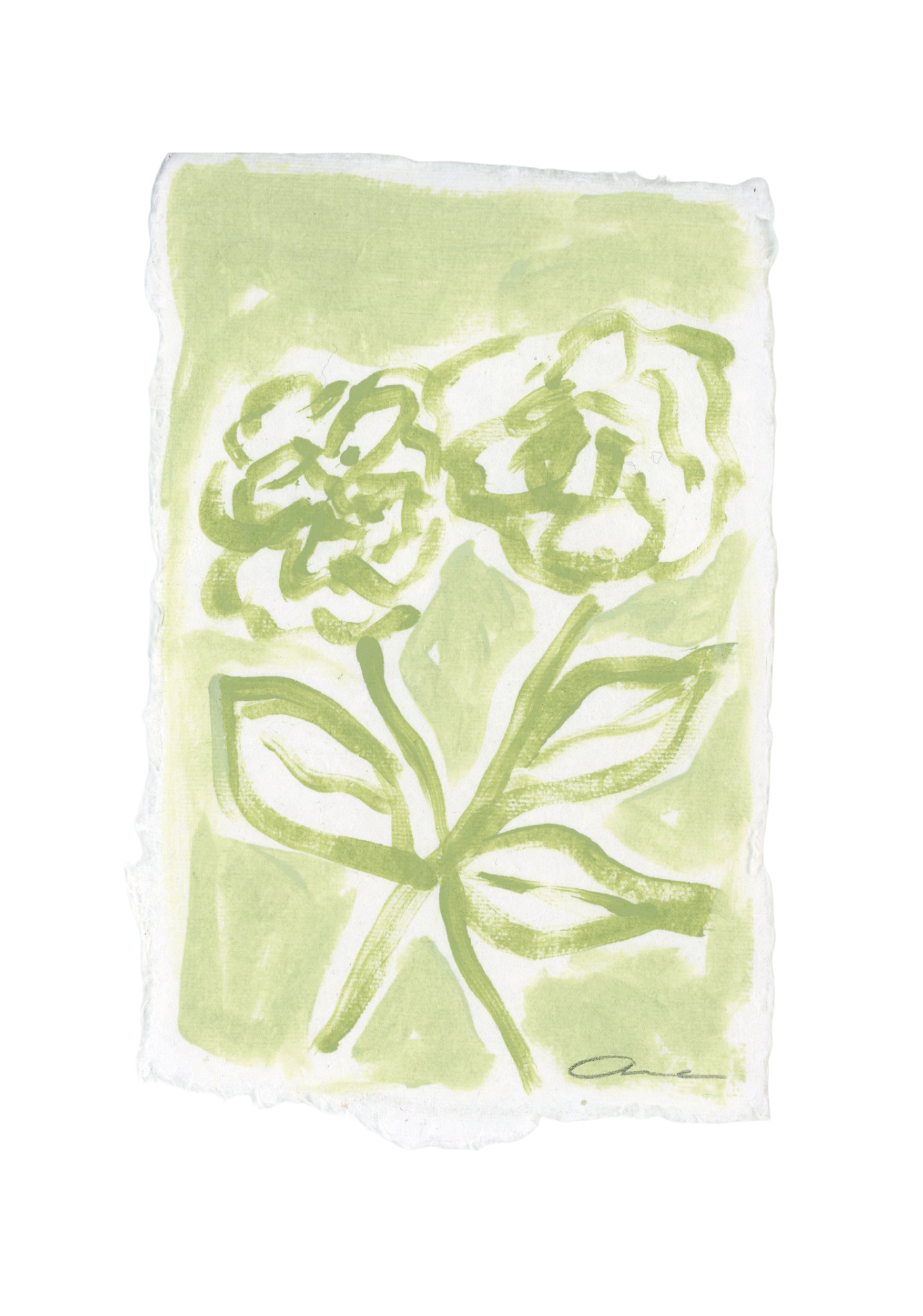 Green Hydrangea Deckled Edge Print 4x6
