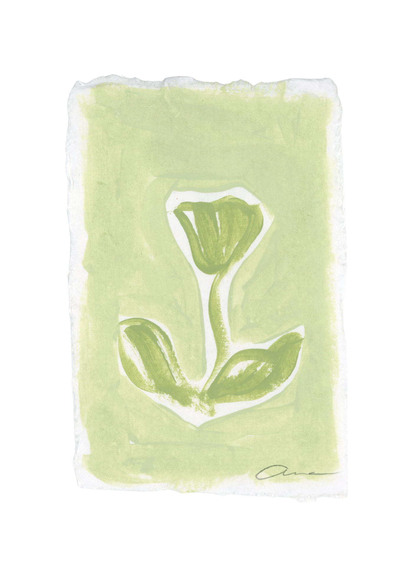 Green Tulip Deckled Edge Print 4x6