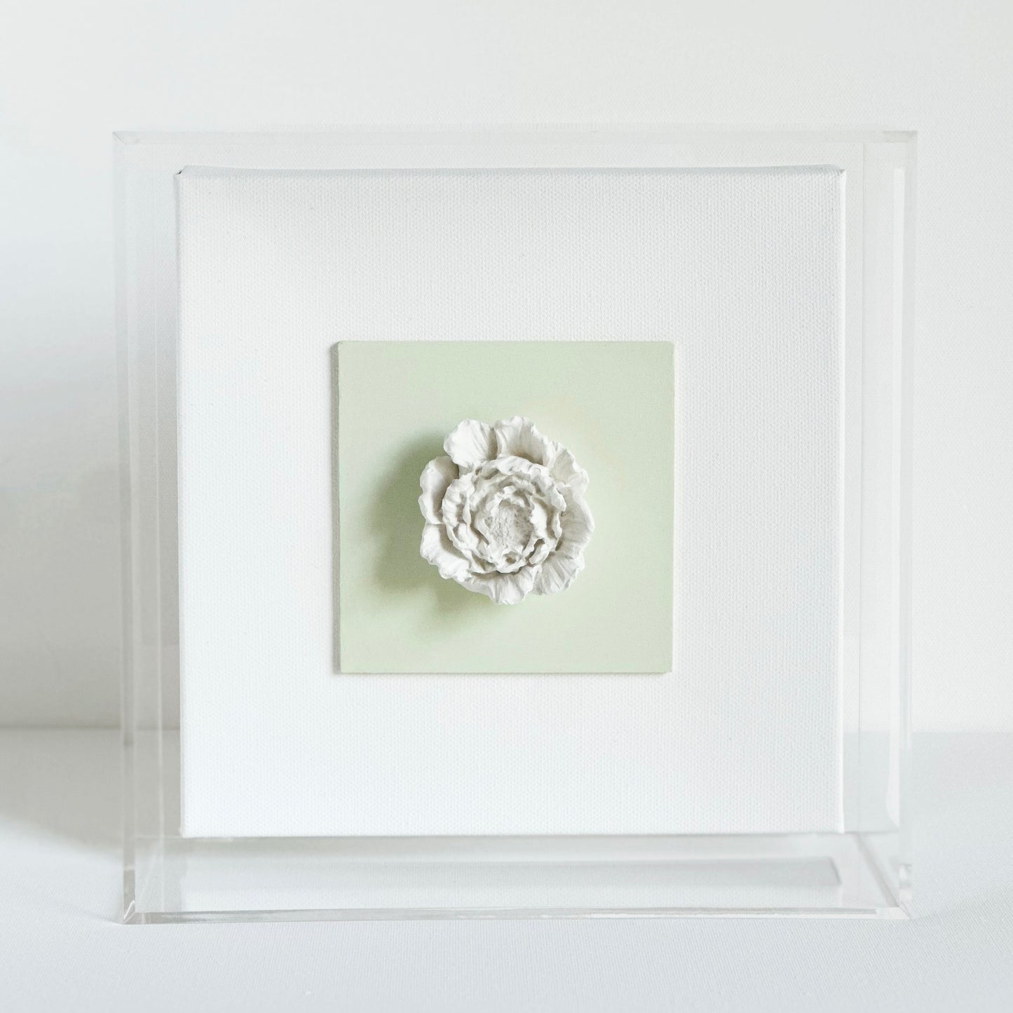 Sage Peony Acrylic Shadowbox Frame 9x9