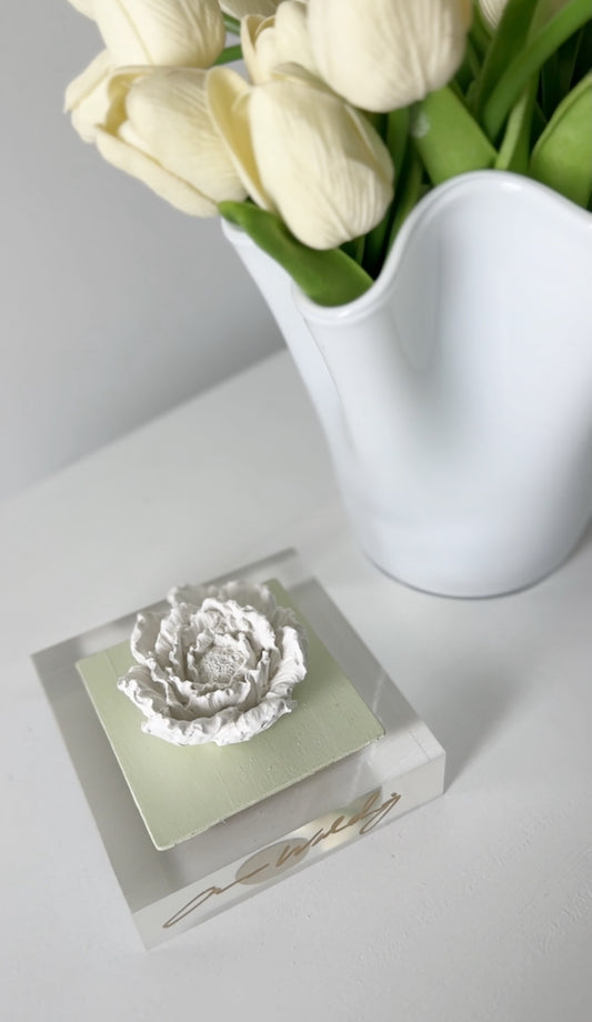 Sage Peony Acrylic Block 4x4