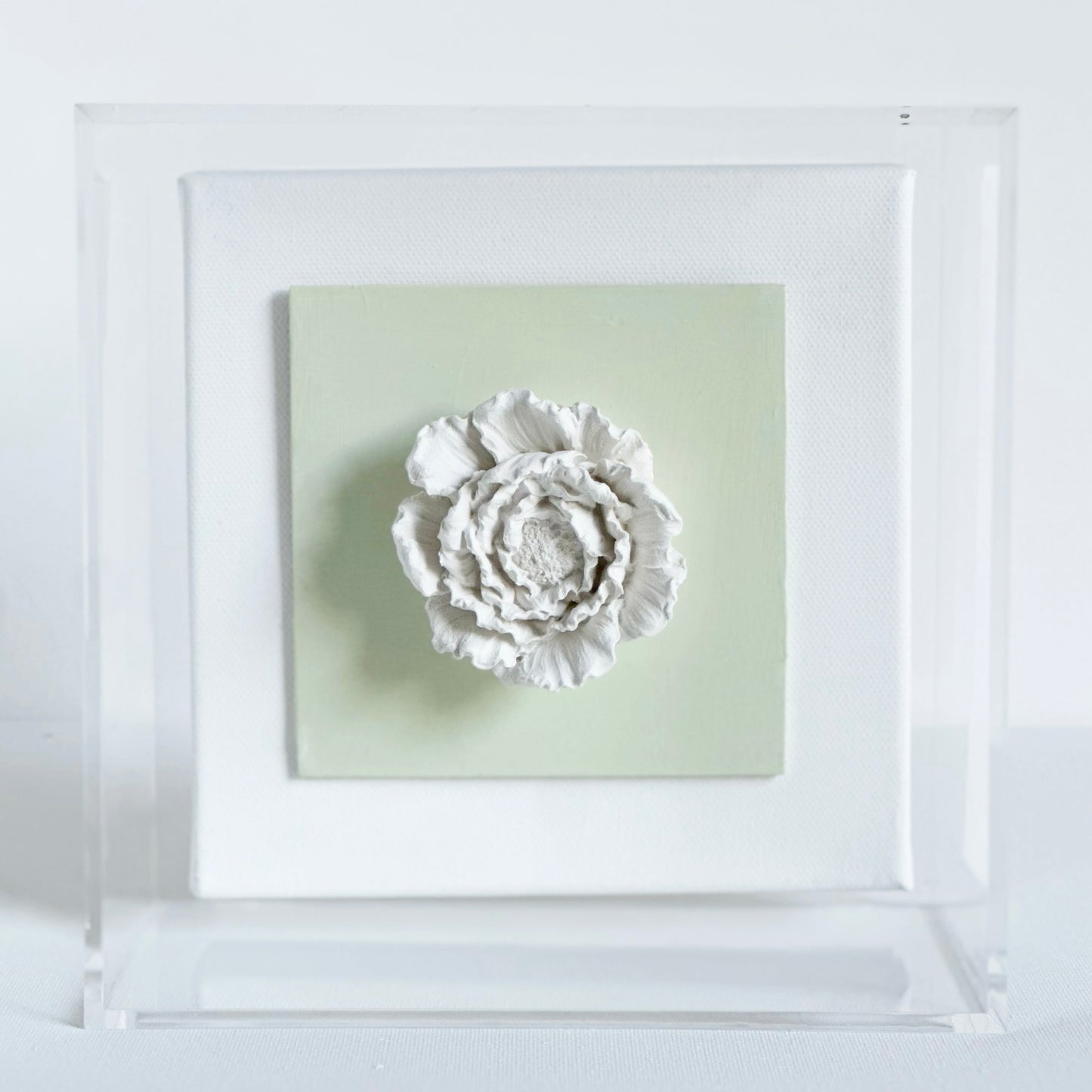 Sage Peony Acrylic Shadowbox Frame 7x7