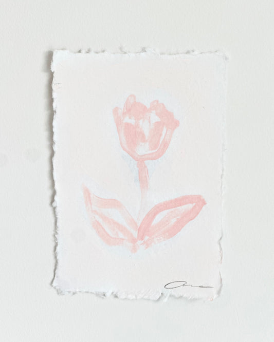 Blush Botanical XVII