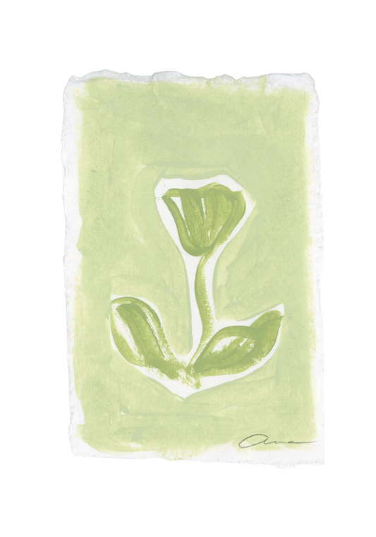 Green Tulip Deckled Edge Print 4x6