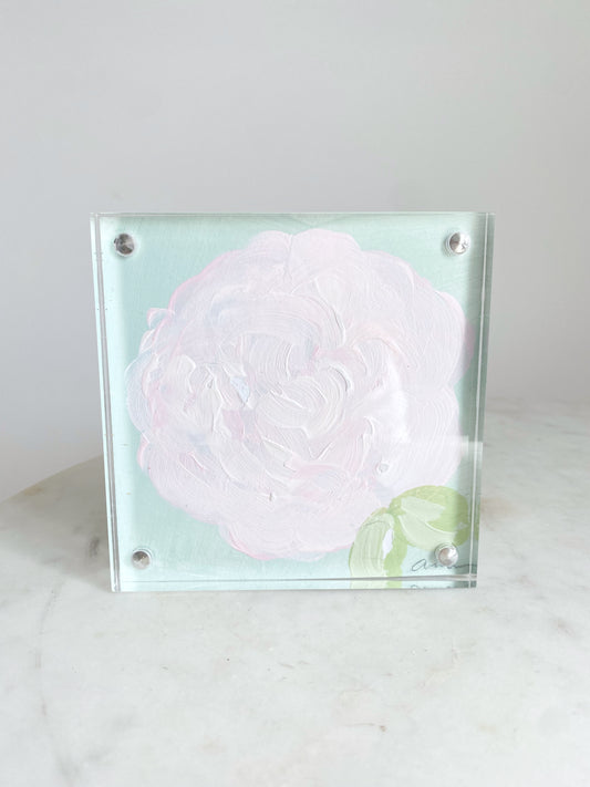 Hydrangea in Acrylic Frame 4x4